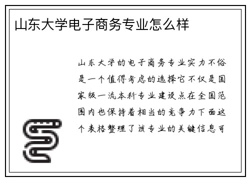 山东大学电子商务专业怎么样